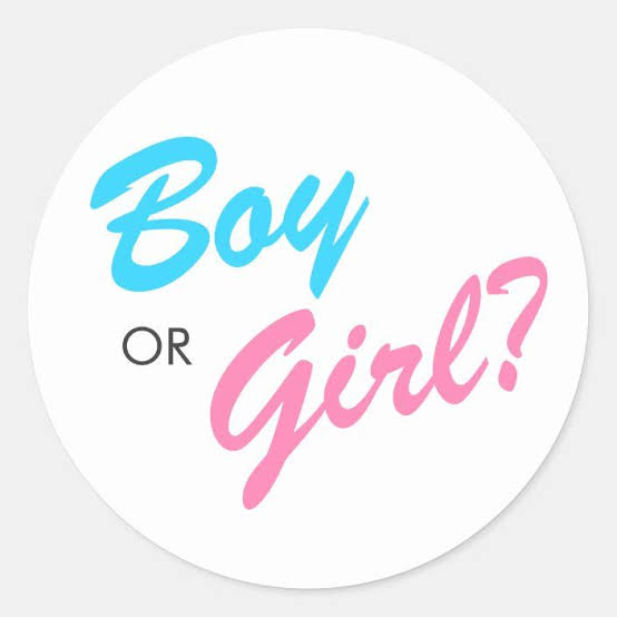 Gender Reveal Sticker Set.