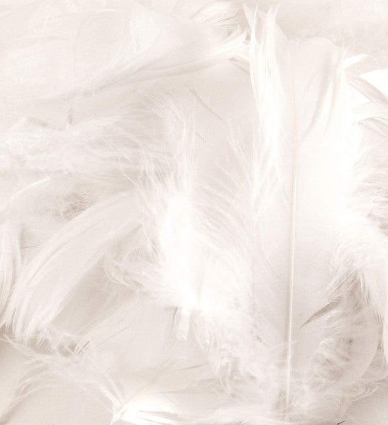 WHITE FEATHERS