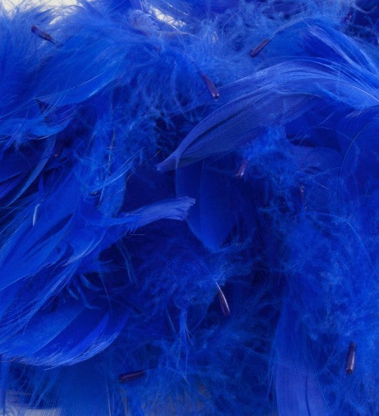 ROYAL BLUE Feathers