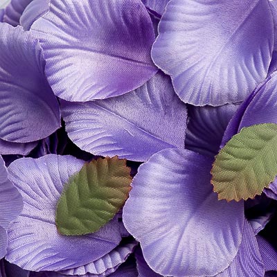 Lilac Boxed Petals