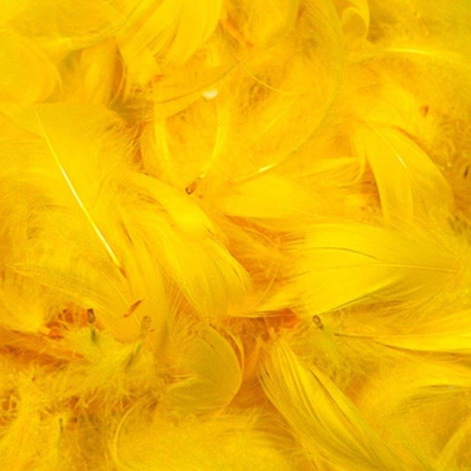 YELLOW FEATHERS